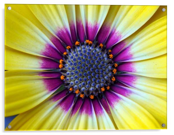Flower Acrylic by Victor Burnside