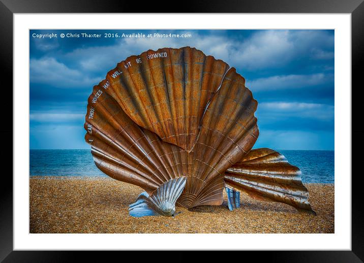 Aldeburgh Scallop Shell Framed Mounted Print by Chris Thaxter