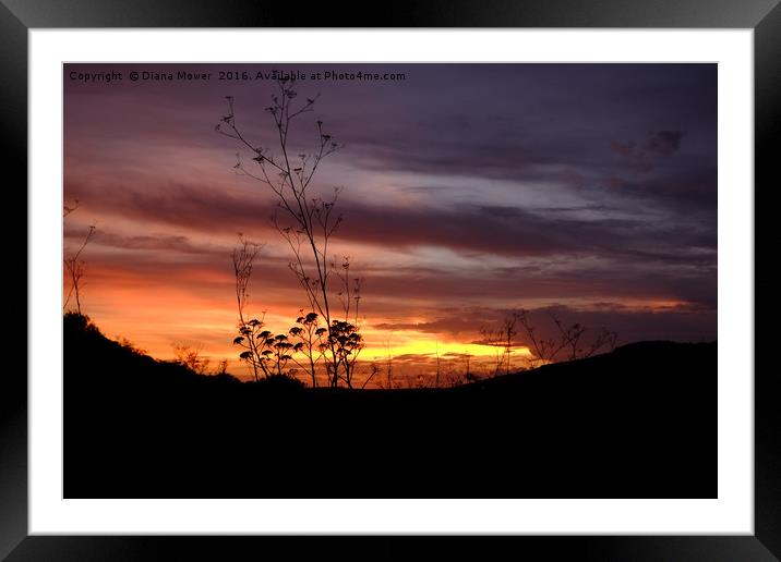 English Countryside Sunset Framed Mounted Print by Diana Mower