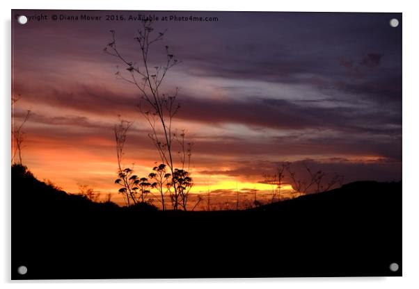 English Countryside Sunset Acrylic by Diana Mower