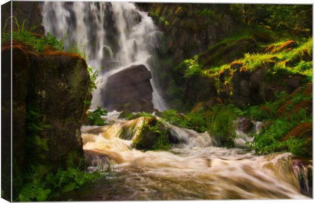 Rushing waterfall  Canvas Print by Tanja Riedel