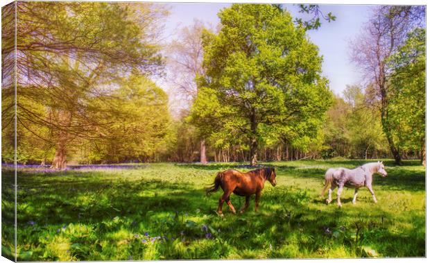 Spring Meadow Canvas Print by Dawn Cox