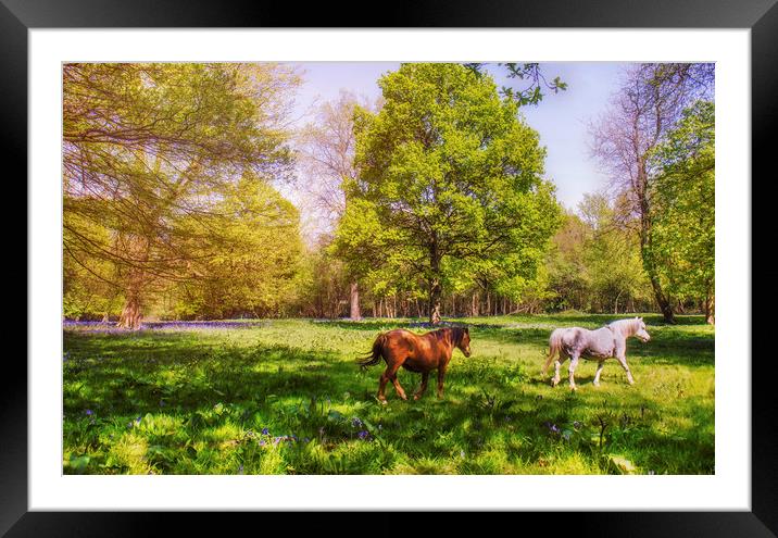 Spring Meadow Framed Mounted Print by Dawn Cox