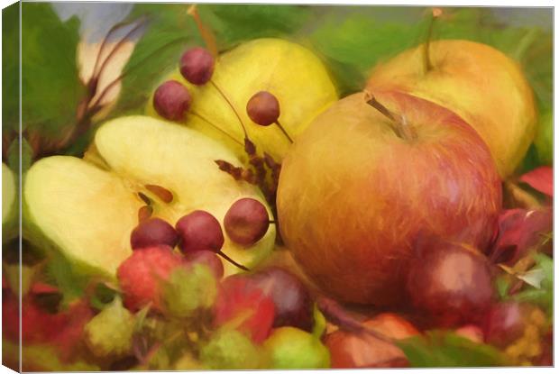 last of the summer fruits Canvas Print by sue davies