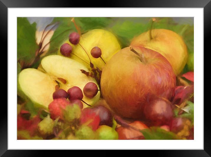 last of the summer fruits Framed Mounted Print by sue davies