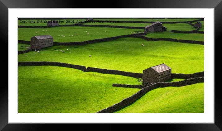 The Barns at Gunnerside in Swaledale Framed Mounted Print by Richard Burdon