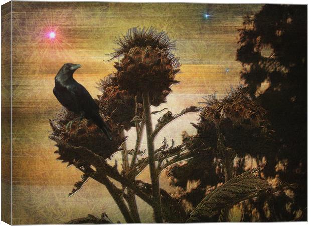 Raven's Rook. Canvas Print by Heather Goodwin