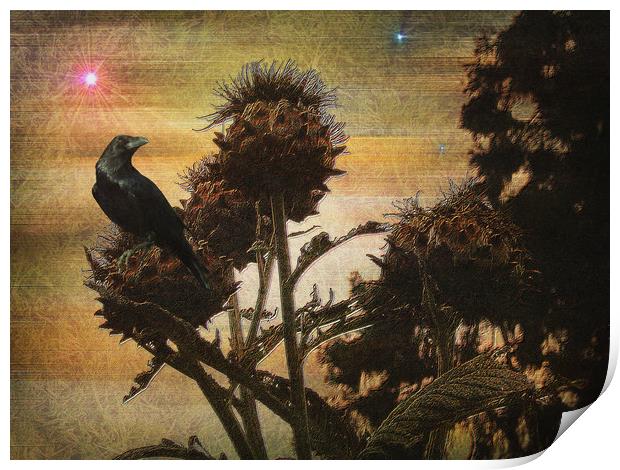 Raven's Rook. Print by Heather Goodwin