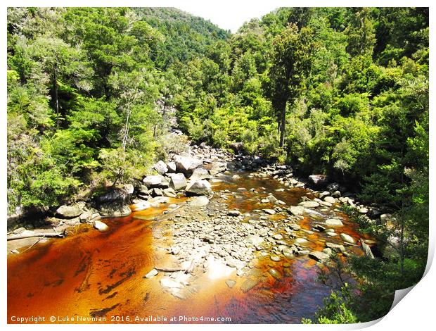 Falls River, Abel Tasman Print by Luke Newman
