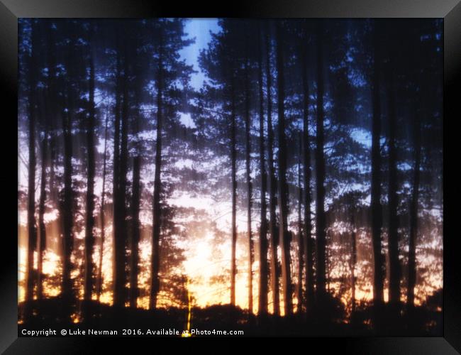 Sunset Ghost Trees Framed Print by Luke Newman