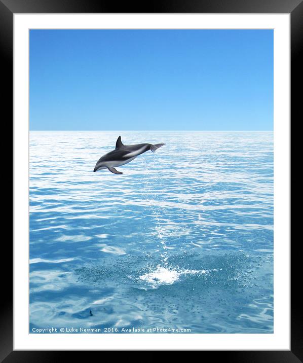 Kaikoura Dusky Dolphin Jump Framed Mounted Print by Luke Newman