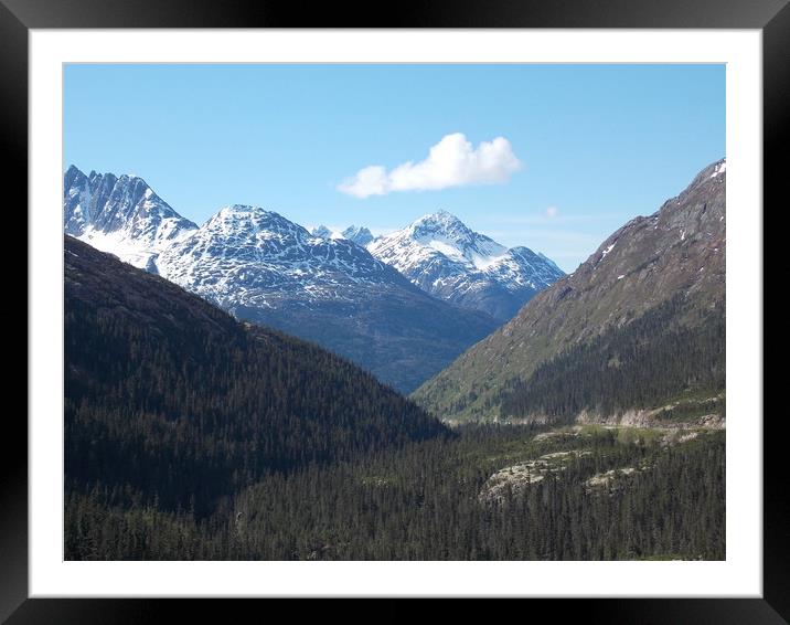 The Great Yukon Framed Mounted Print by JUDY LACEFIELD
