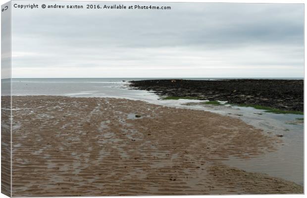 SAND SEA AND SEAWEED Canvas Print by andrew saxton