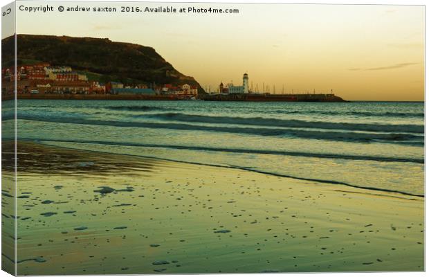 I CAN SEE SHORE Canvas Print by andrew saxton
