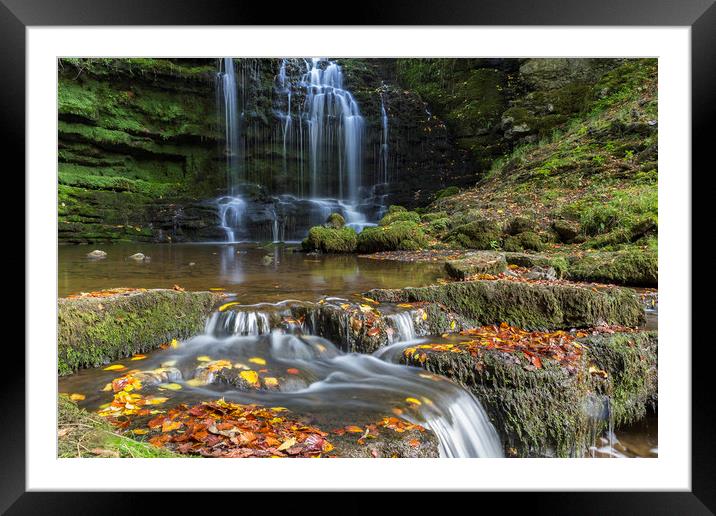 Scalebar Force Framed Mounted Print by nick hirst