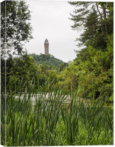 Wallace Monument, Stirling. Canvas Print by Tommy Dickson