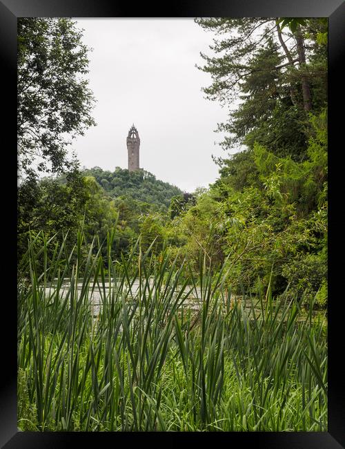 Wallace Monument, Stirling. Framed Print by Tommy Dickson