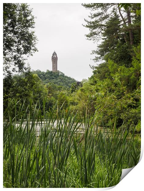 Wallace Monument, Stirling. Print by Tommy Dickson