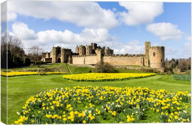 Alnwick Castle Canvas Print by Northeast Images