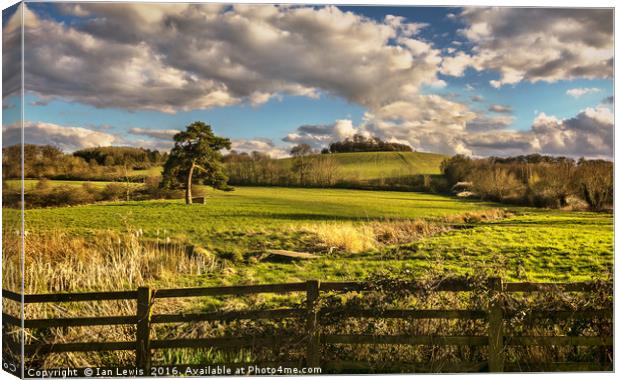 Round Hill From Little Wittenham Canvas Print by Ian Lewis