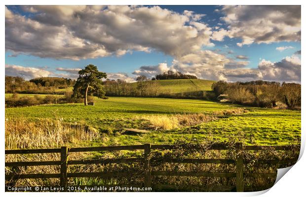 Round Hill From Little Wittenham Print by Ian Lewis