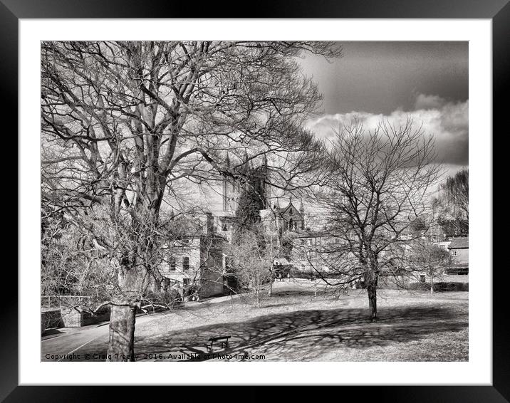 Hereford Cathedral viewed from the Castle Green Framed Mounted Print by Craig Preedy