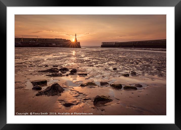 Sunset Harbour Framed Mounted Print by Fiona Smith