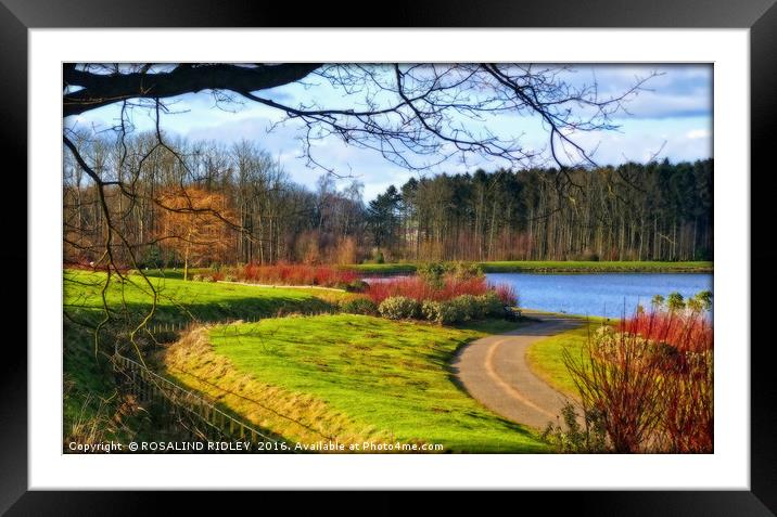"PATH TO THE LAKE" Framed Mounted Print by ROS RIDLEY