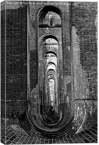 Balcombe Viaduct Canvas Print by Tom Hard