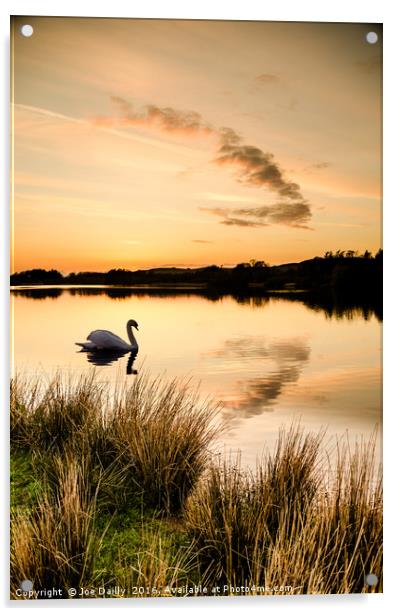 Sunset silhouette swan.  Acrylic by Joe Dailly