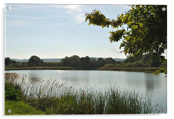 Marsworth Reservoir Acrylic by graham young