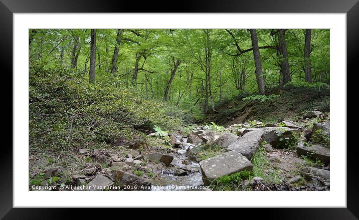 A quiet mysterious place in jungle, Framed Mounted Print by Ali asghar Mazinanian