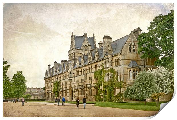 Christ Church College Oxford Print by LIZ Alderdice
