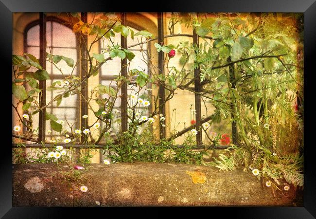 Merton College Flowers Framed Print by LIZ Alderdice