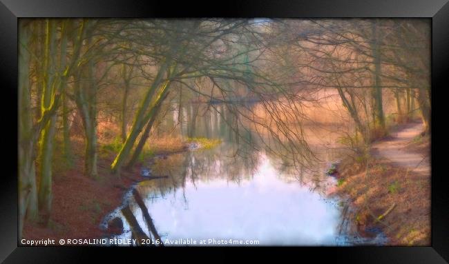 "EVENING LIGHT  AND REFLECTIONS ON THE LAKE" Framed Print by ROS RIDLEY