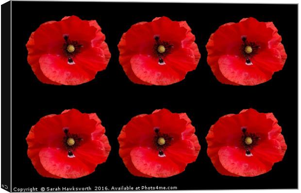 Six Red Poppies on Black Background Canvas Print by Sarah Hawksworth