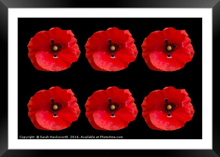 Six Red Poppies on Black Background Framed Mounted Print by Sarah Hawksworth