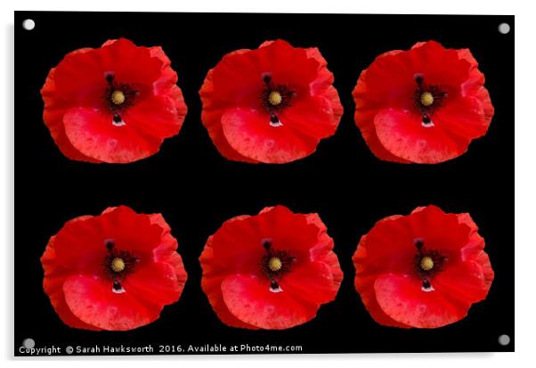 Six Red Poppies on Black Background Acrylic by Sarah Hawksworth