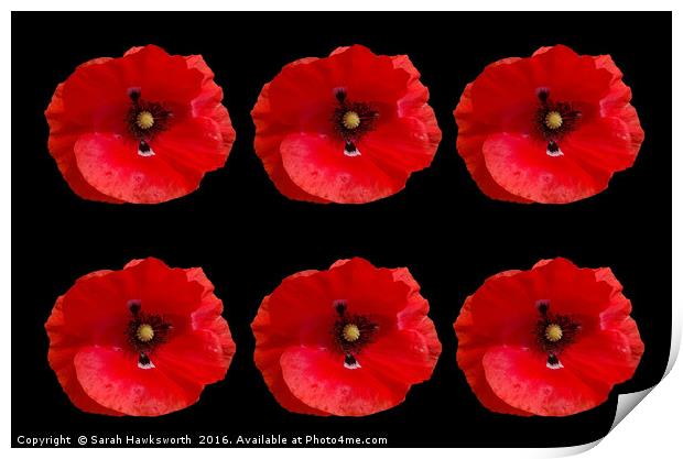 Six Red Poppies on Black Background Print by Sarah Hawksworth