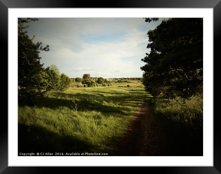 Heath Common, Yorkshire Framed Mounted Print by CJ Allen