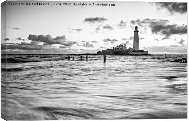 St Mary's Lighthouse - Black and White Canvas Print by David Lewins (LRPS)