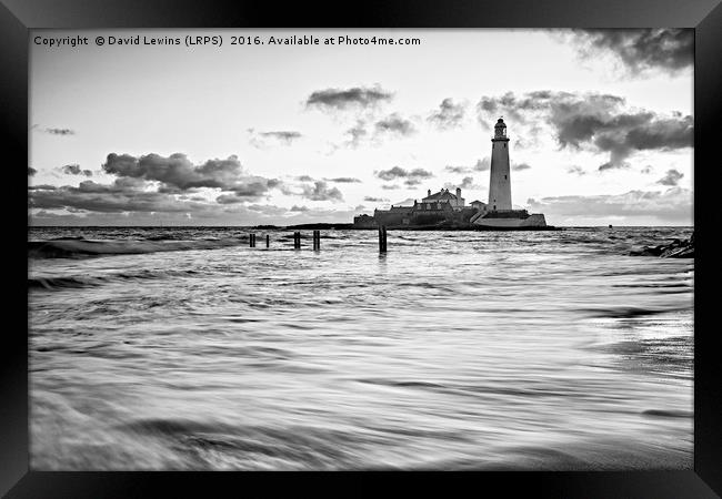 St Mary's Lighthouse - Black and White Framed Print by David Lewins (LRPS)