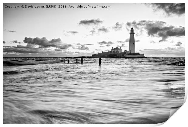 St Mary's Lighthouse - Black and White Print by David Lewins (LRPS)