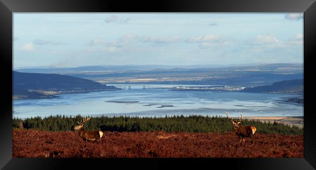 View down the Beauly Firth to Inverness Framed Print by Macrae Images