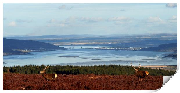 View down the Beauly Firth to Inverness Print by Macrae Images