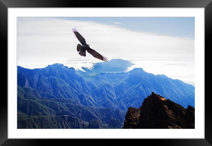 Crow over the mountains Framed Mounted Print by Keith Thorne