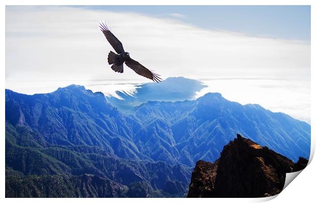 Crow over the mountains Print by Keith Thorne