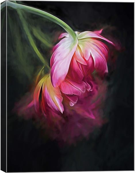 Fusion Flowers Canvas Print by clint hudson