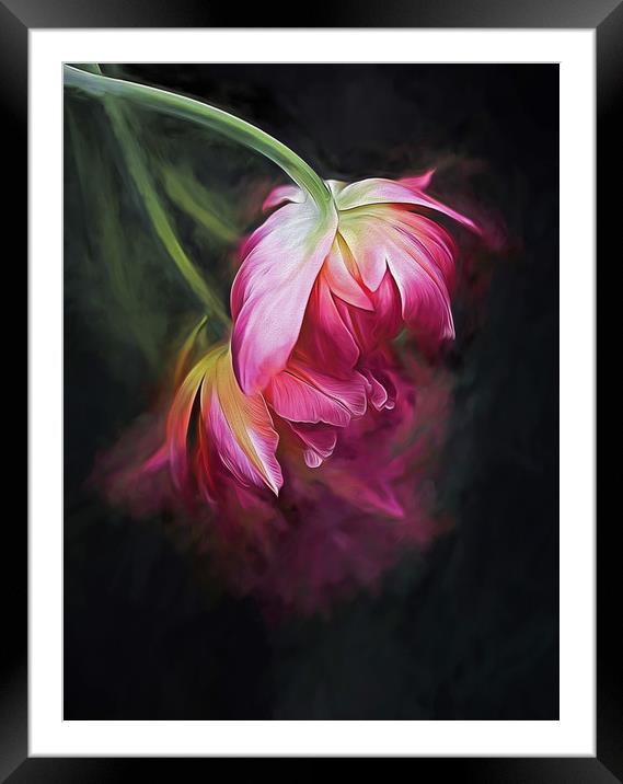 Fusion Flowers Framed Mounted Print by clint hudson