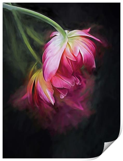 Fusion Flowers Print by clint hudson